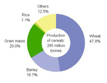 agro-biomass agropower energy